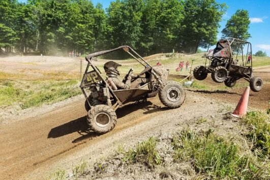 buggies-individual